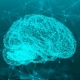 Illustration of a brain in blue green tones.